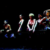 Fosse (2002) - Simone Kleinsma, Pia Douwes & Cast - (c)Roy Beusker